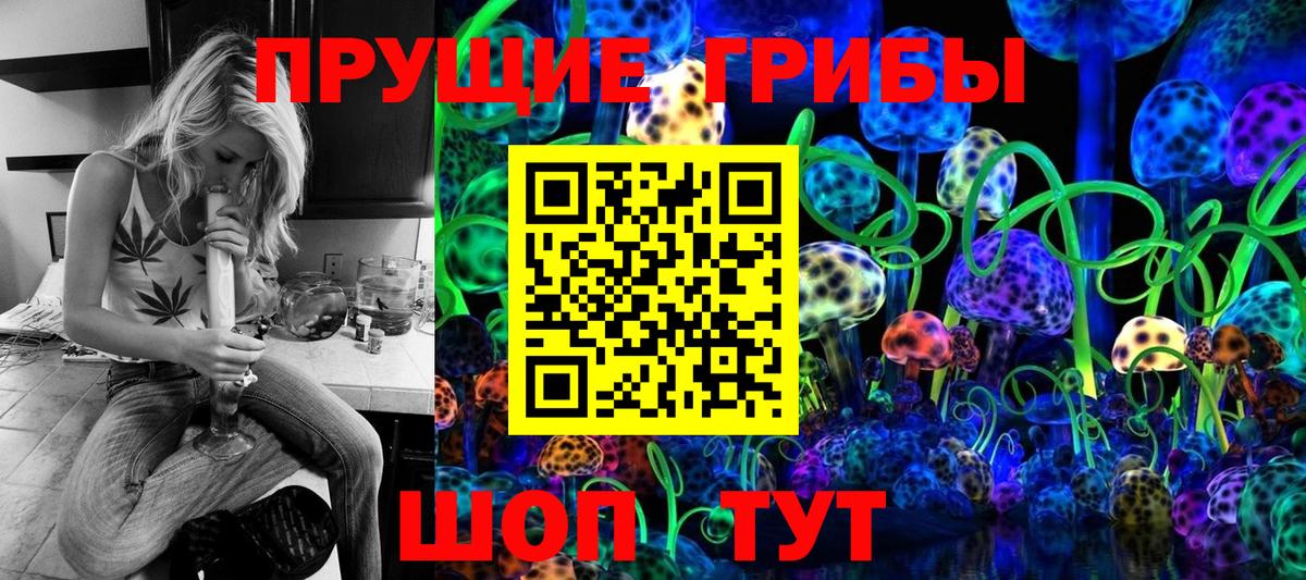 Псилоцибиновые грибы Psilocybe Светлоград